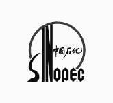 rit 2014 client logo SINOPEC