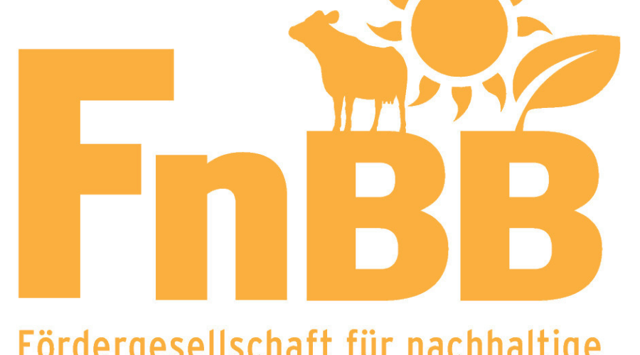 FnBB Logo Gelbe Schrift Transparenter Hintergrund eV einfach